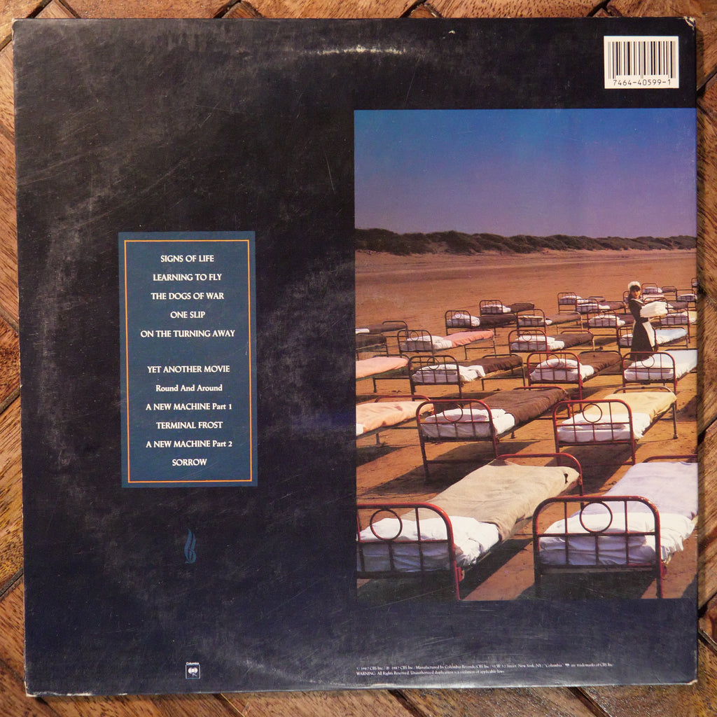 Pink Floyd-A Momentary Lapse Of Reason