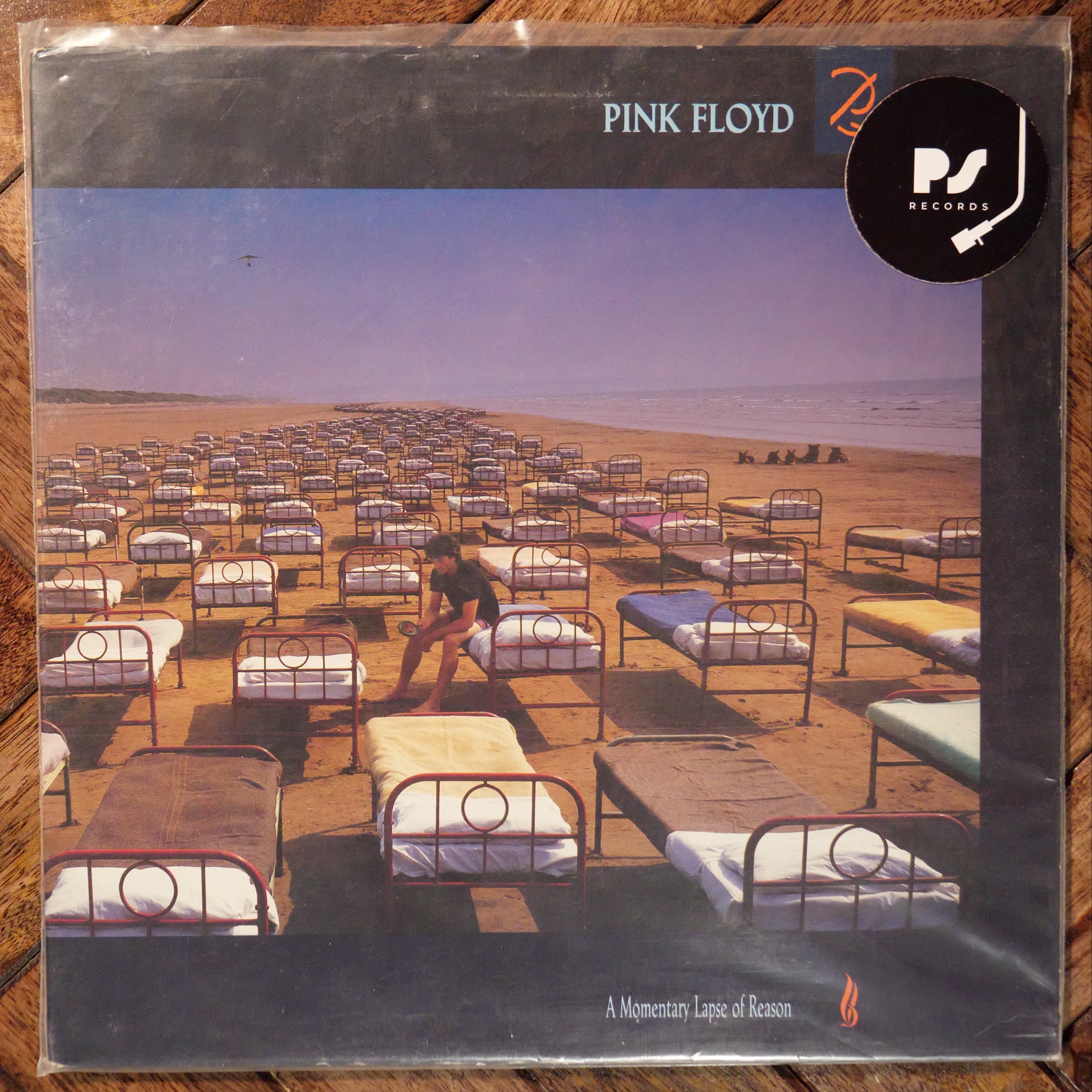 Pink Floyd-A Momentary Lapse Of Reason